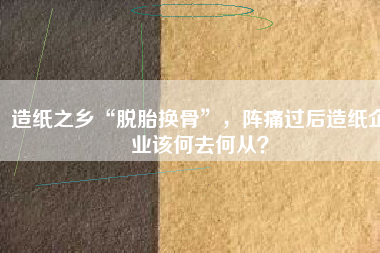 造紙之鄉“脫胎換骨”，陣痛過后造紙企業該何去何從？