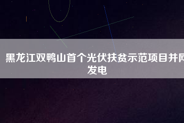 黑龍江雙鴨山首個光伏扶貧示范項目并網發電