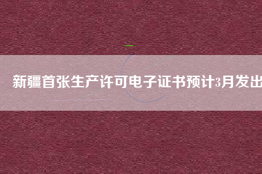 新疆首張生產許可電子證書預計3月發出