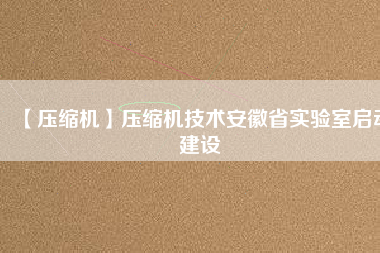 【壓縮機】壓縮機技術(shù)安徽省實驗室啟動建設(shè)