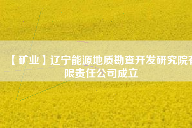 【礦業】遼寧能源地質勘查開發研究院有限責任公司成立