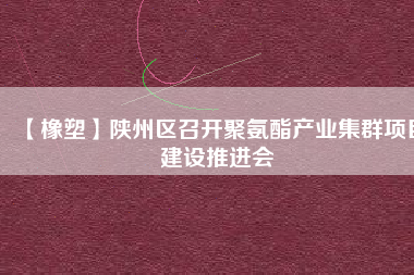 【橡塑】陜州區(qū)召開聚氨酯產(chǎn)業(yè)集群項(xiàng)目建設(shè)推進(jìn)會(huì)