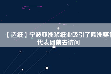 【造紙】寧波亞洲漿紙業吸引了歐洲媒體代表團前去訪問