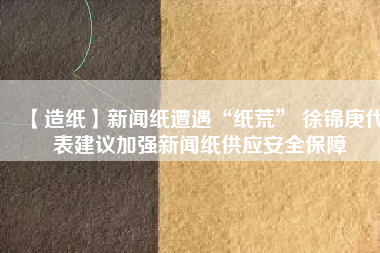 【造紙】新聞紙遭遇“紙荒” 徐錦庚代表建議加強新聞紙供應安全保障