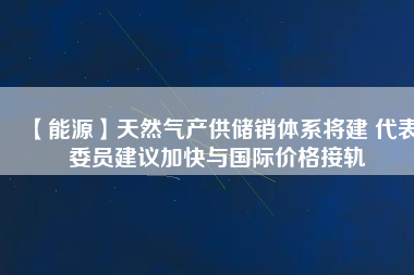 【能源】天然氣產供儲銷體系將建 代表委員建議加快與國際價格接軌