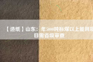 【造紙】山東：年5000噸標煤以上能耗項目需省級審查