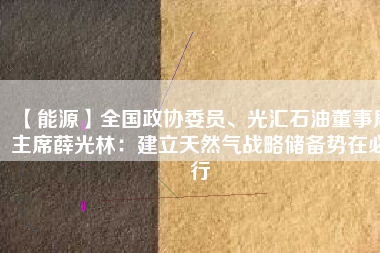 【能源】全國政協委員、光匯石油董事局主席薛光林：建立天然氣戰略儲備勢在必行