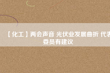 【化工】兩會聲音 光伏業發展曲折 代表委員有建議