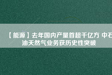 【能源】去年國內(nèi)產(chǎn)量首超千億方 中石油天然氣業(yè)務(wù)獲歷史性突破