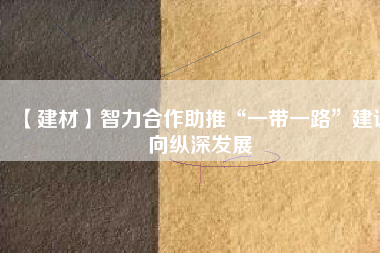 【建材】智力合作助推“一帶一路”建設向縱深發展