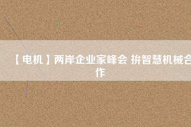 【電機】兩岸企業家峰會 拚智慧機械合作
          