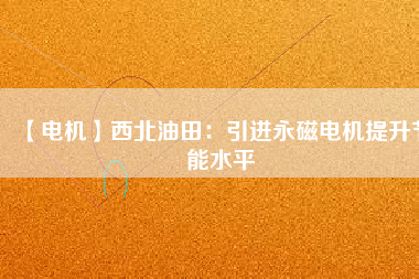 【電機】西北油田：引進永磁電機提升節能水平
          