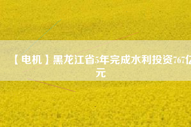 【電機(jī)】黑龍江省5年完成水利投資767億元
          