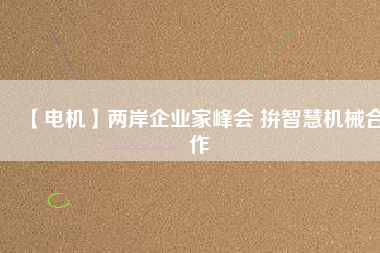 【電機】兩岸企業家峰會 拚智慧機械合作
          