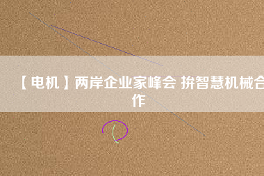 【電機】兩岸企業家峰會 拚智慧機械合作
          