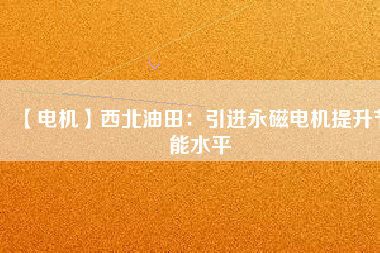 【電機】西北油田：引進永磁電機提升節能水平
          