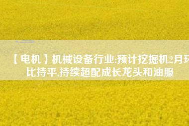 【電機】機械設備行業:預計挖掘機2月環比持平,持續超配成長龍頭和油服
          