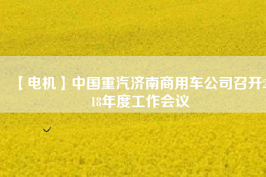 【電機(jī)】中國(guó)重汽濟(jì)南商用車公司召開2018年度工作會(huì)議
          