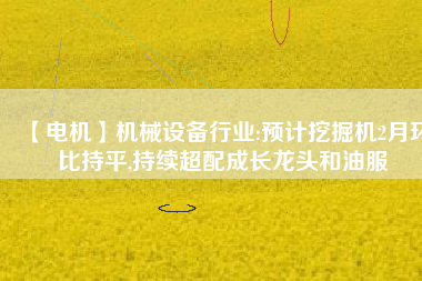 【電機】機械設備行業:預計挖掘機2月環比持平,持續超配成長龍頭和油服
          