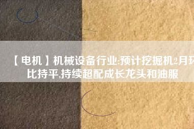 【電機】機械設備行業:預計挖掘機2月環比持平,持續超配成長龍頭和油服
          