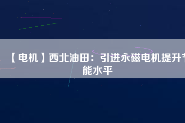 【電機】西北油田：引進永磁電機提升節能水平
          