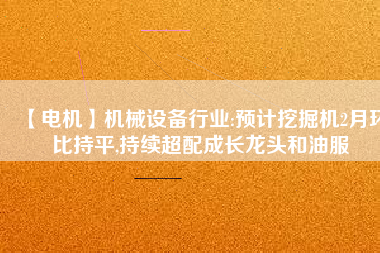 【電機】機械設備行業:預計挖掘機2月環比持平,持續超配成長龍頭和油服
          