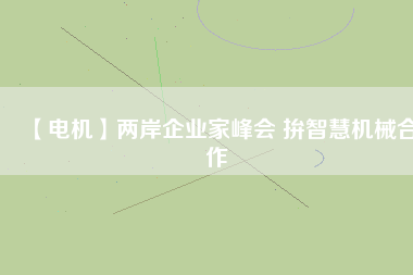 【電機】兩岸企業家峰會 拚智慧機械合作
          