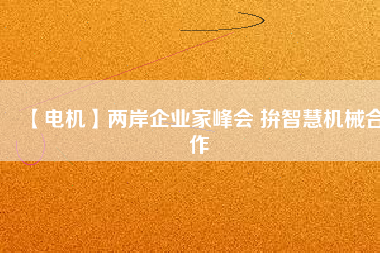 【電機】兩岸企業家峰會 拚智慧機械合作
          