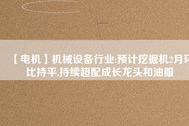 【電機】機械設備行業:預計挖掘機2月環比持平,持續超配成長龍頭和油服
          