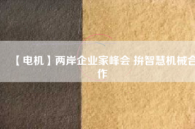 【電機】兩岸企業家峰會 拚智慧機械合作
          