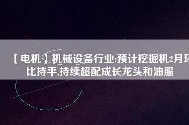 【電機】機械設備行業:預計挖掘機2月環比持平,持續超配成長龍頭和油服
          