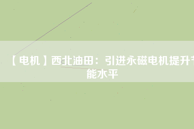 【電機】西北油田：引進永磁電機提升節能水平
          