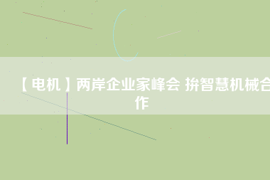 【電機】兩岸企業家峰會 拚智慧機械合作
          