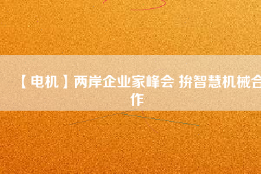 【電機】兩岸企業家峰會 拚智慧機械合作
          