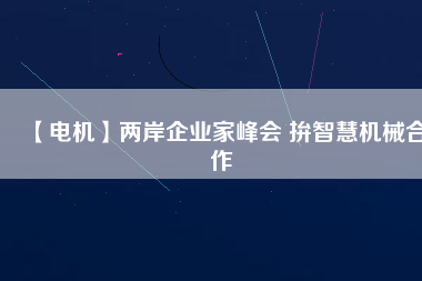 【電機】兩岸企業家峰會 拚智慧機械合作
          