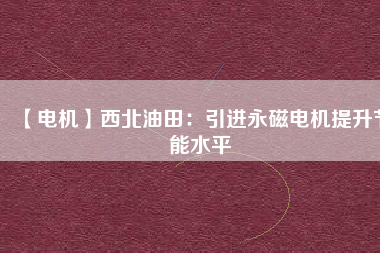 【電機】西北油田：引進永磁電機提升節能水平
          