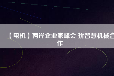 【電機】兩岸企業家峰會 拚智慧機械合作
          