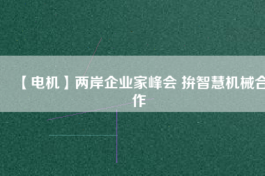 【電機】兩岸企業家峰會 拚智慧機械合作
          