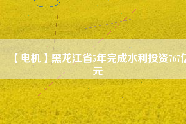 【電機(jī)】黑龍江省5年完成水利投資767億元
          