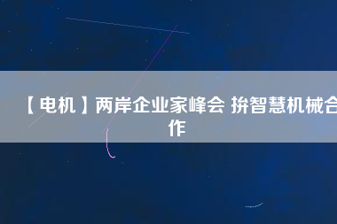 【電機】兩岸企業家峰會 拚智慧機械合作
          