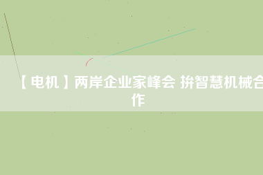 【電機】兩岸企業家峰會 拚智慧機械合作
          