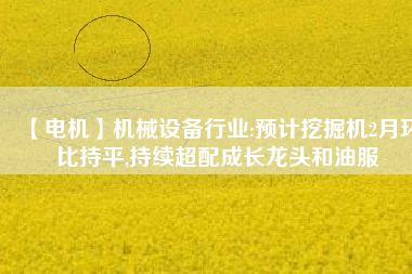 【電機】機械設備行業:預計挖掘機2月環比持平,持續超配成長龍頭和油服
          