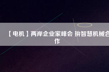 【電機】兩岸企業家峰會 拚智慧機械合作
          