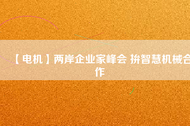 【電機】兩岸企業家峰會 拚智慧機械合作
          