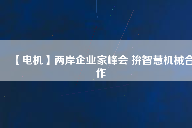 【電機】兩岸企業家峰會 拚智慧機械合作
          