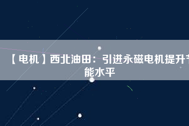 【電機】西北油田：引進永磁電機提升節能水平
          