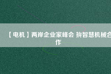 【電機】兩岸企業家峰會 拚智慧機械合作
          