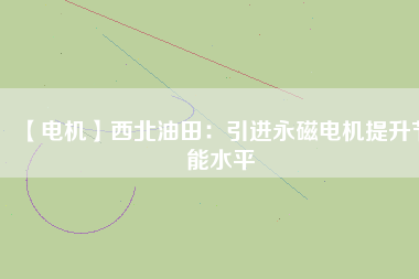 【電機】西北油田：引進永磁電機提升節能水平
          