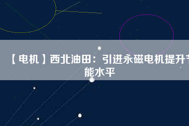 【電機】西北油田：引進永磁電機提升節能水平
          