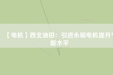 【電機】西北油田：引進永磁電機提升節能水平
          